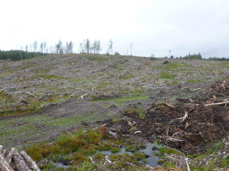 Kilfinan woodland crofts site